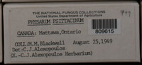 Image Associated With the Occurence